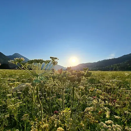 Selbstversorger Zoller Sommerbergbahn Inklusive