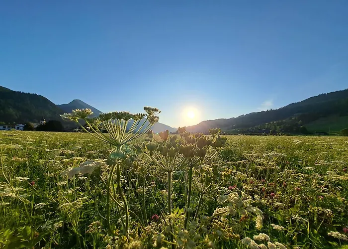 Selbstversorger Zoller Sommerbergbahn Inklusive