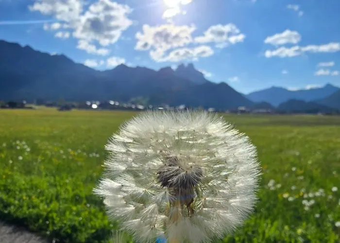 Selbstversorger Zoller Sommerbergbahn Inklusive