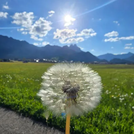 Selbstversorger Zoller Sommerbergbahn Inklusive